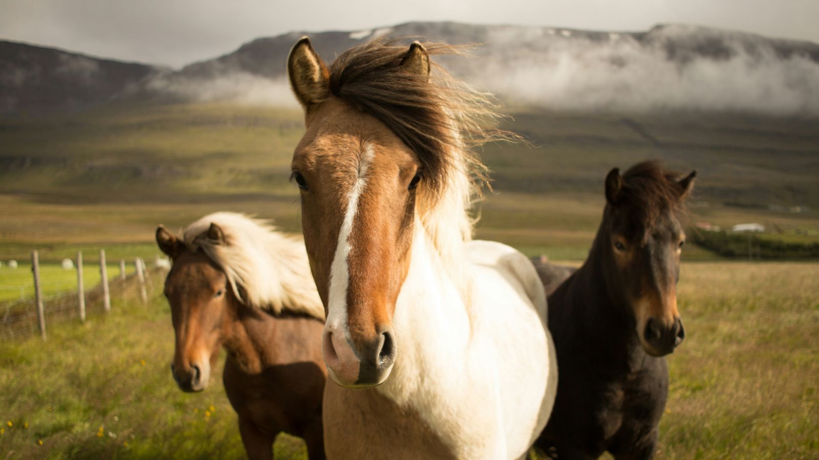 Fabian Burghardt on Unsplash