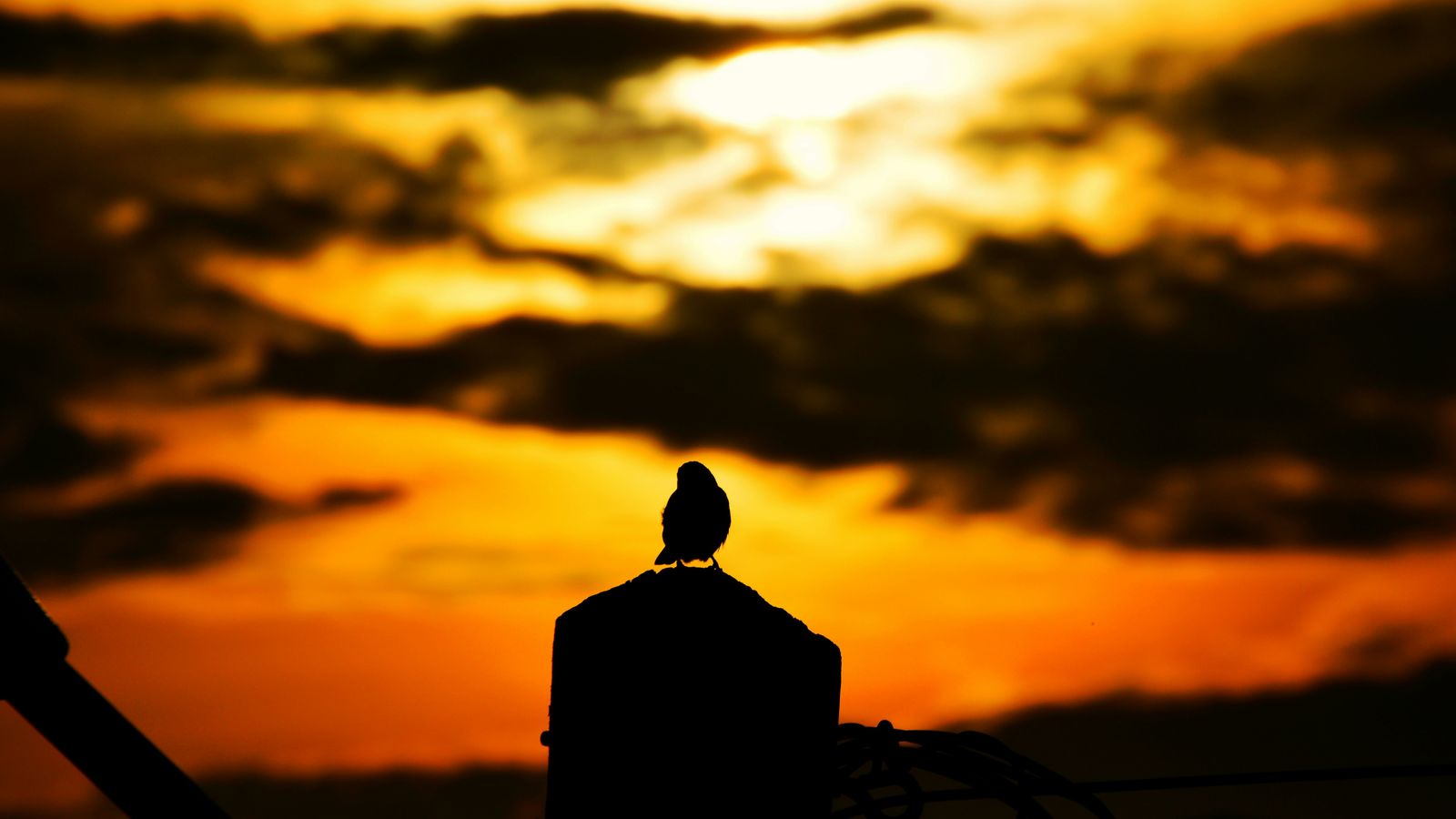 Edouard TAMBA on Unsplash
