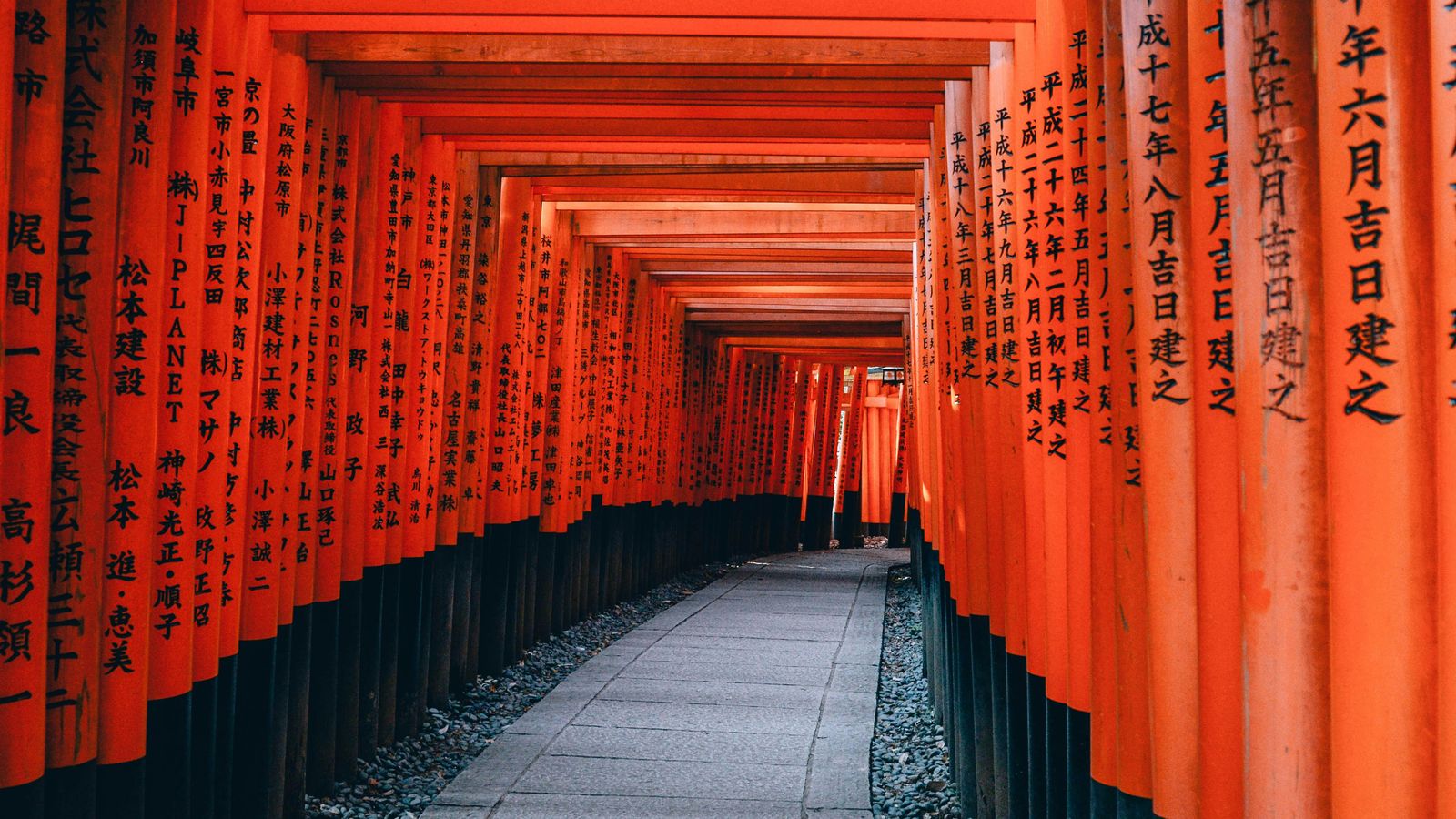 Denys Nevozhai on Unsplash