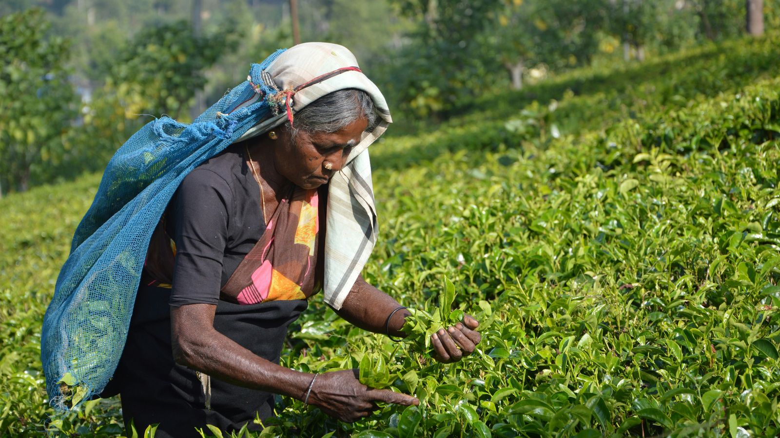 Asantha Abeysooriya on Unsplash