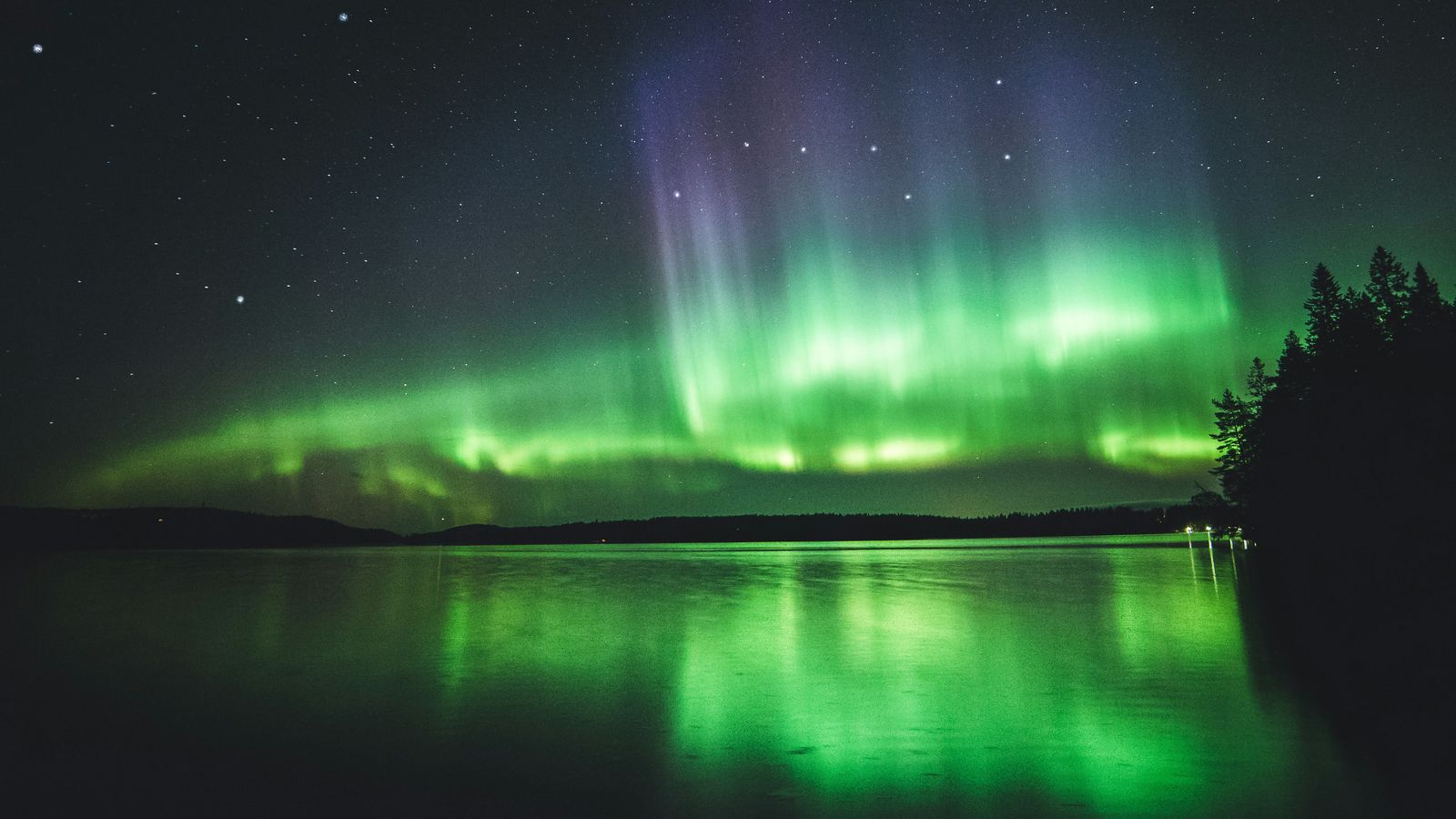Niilo Isotalo on Unsplash