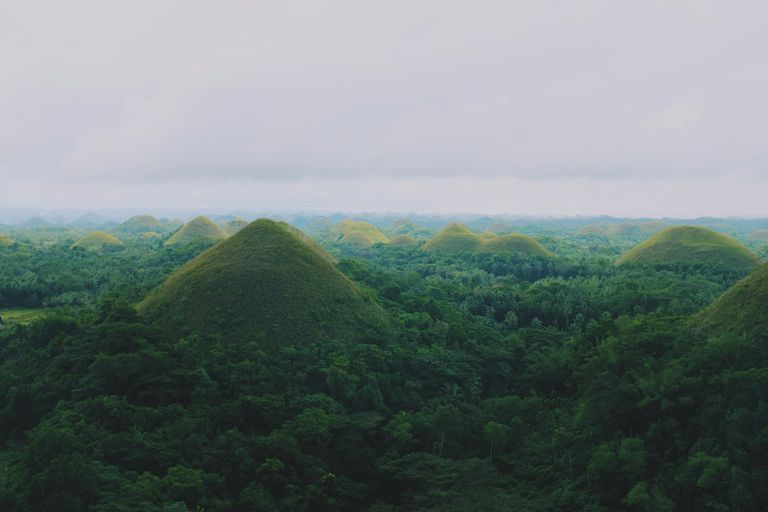 Bohol