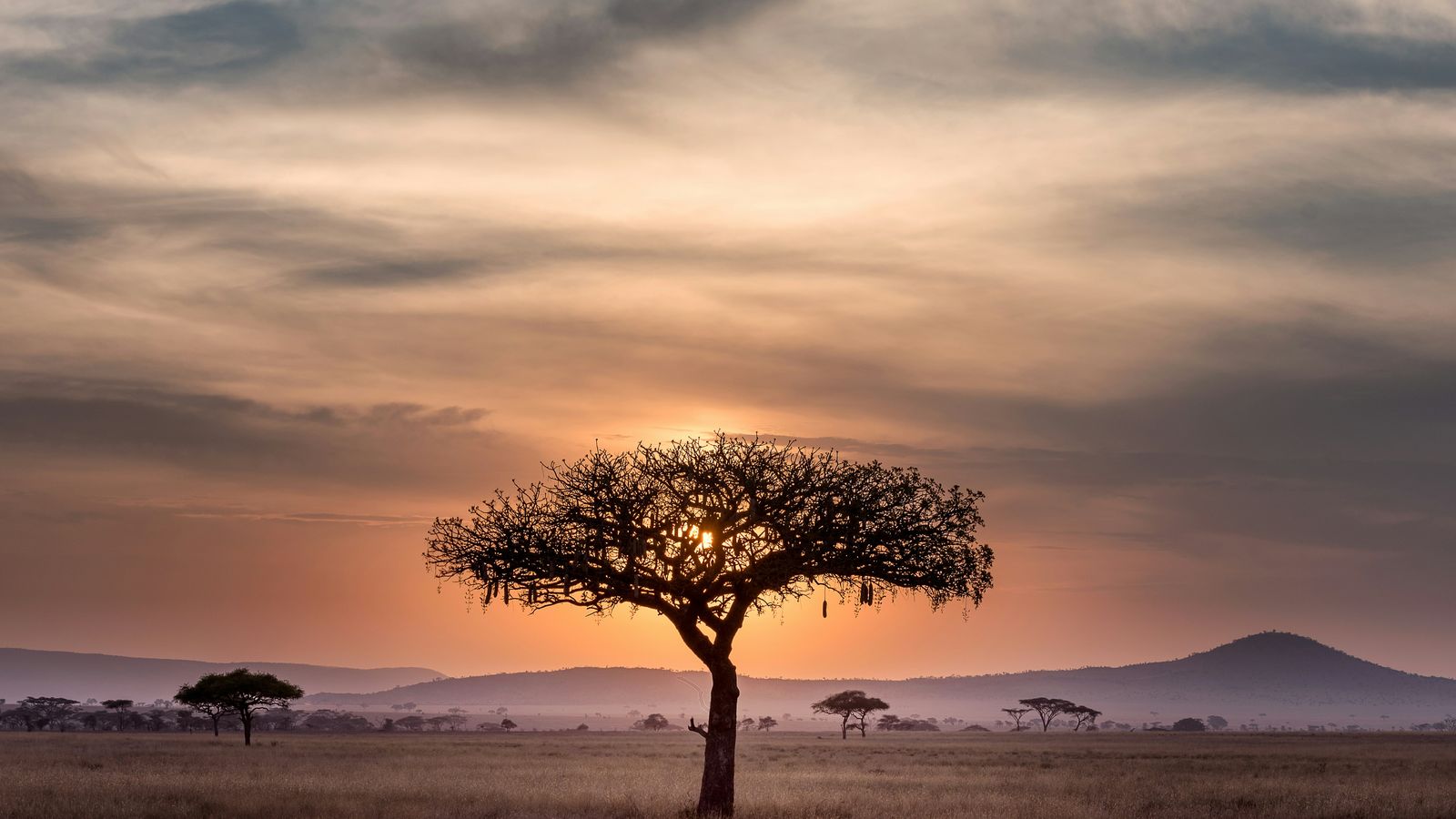 Hu Chen on Unsplash