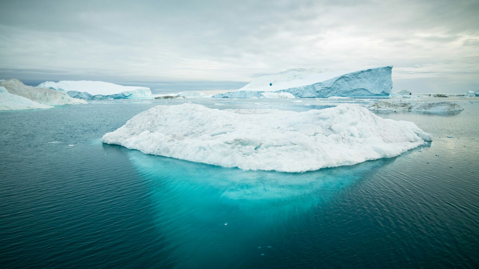 Alexander Hafemann on Unsplash