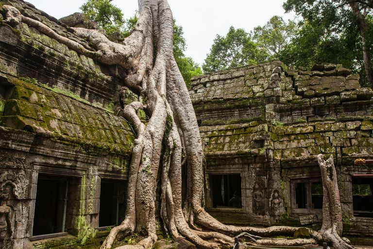 Siem Reap