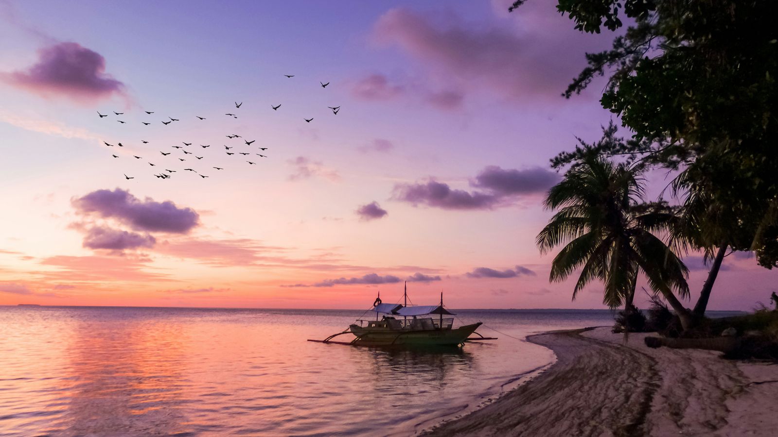 Cris Tagupa on Unsplash