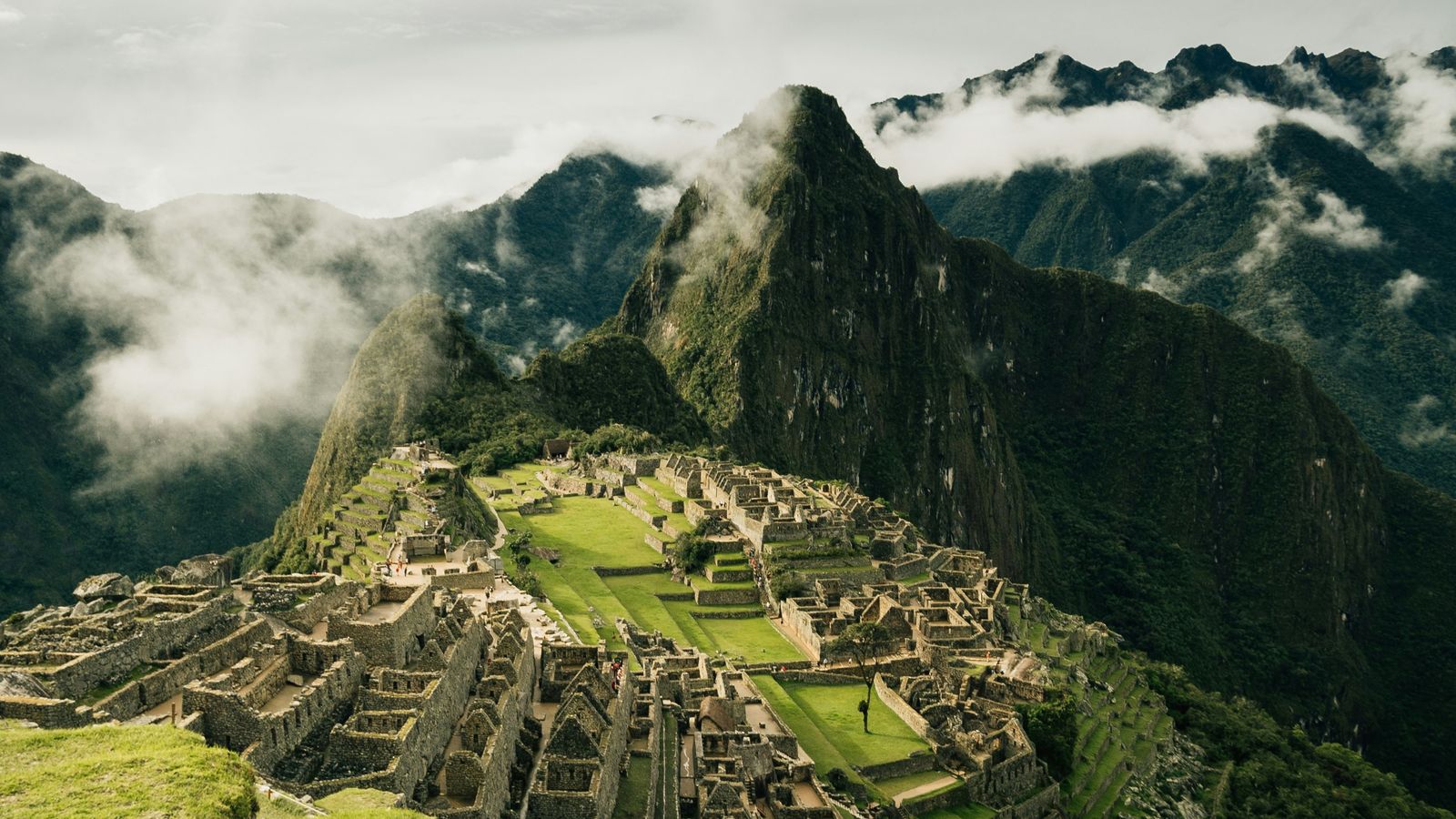Eduardo Flores on Unsplash