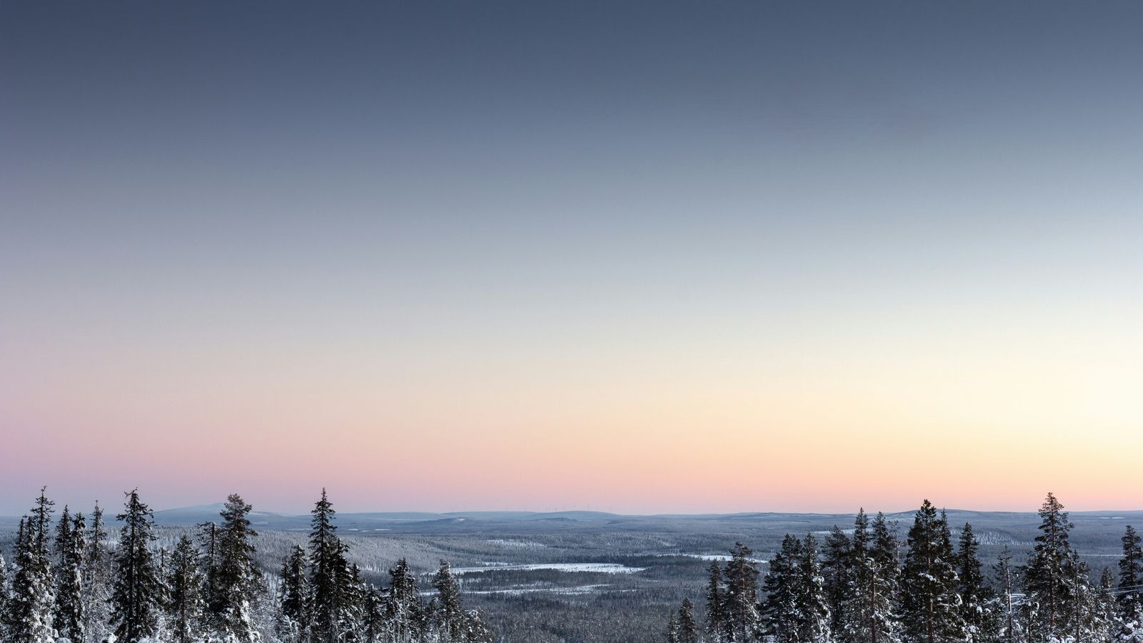 Joakim Honkasalo on Unsplash