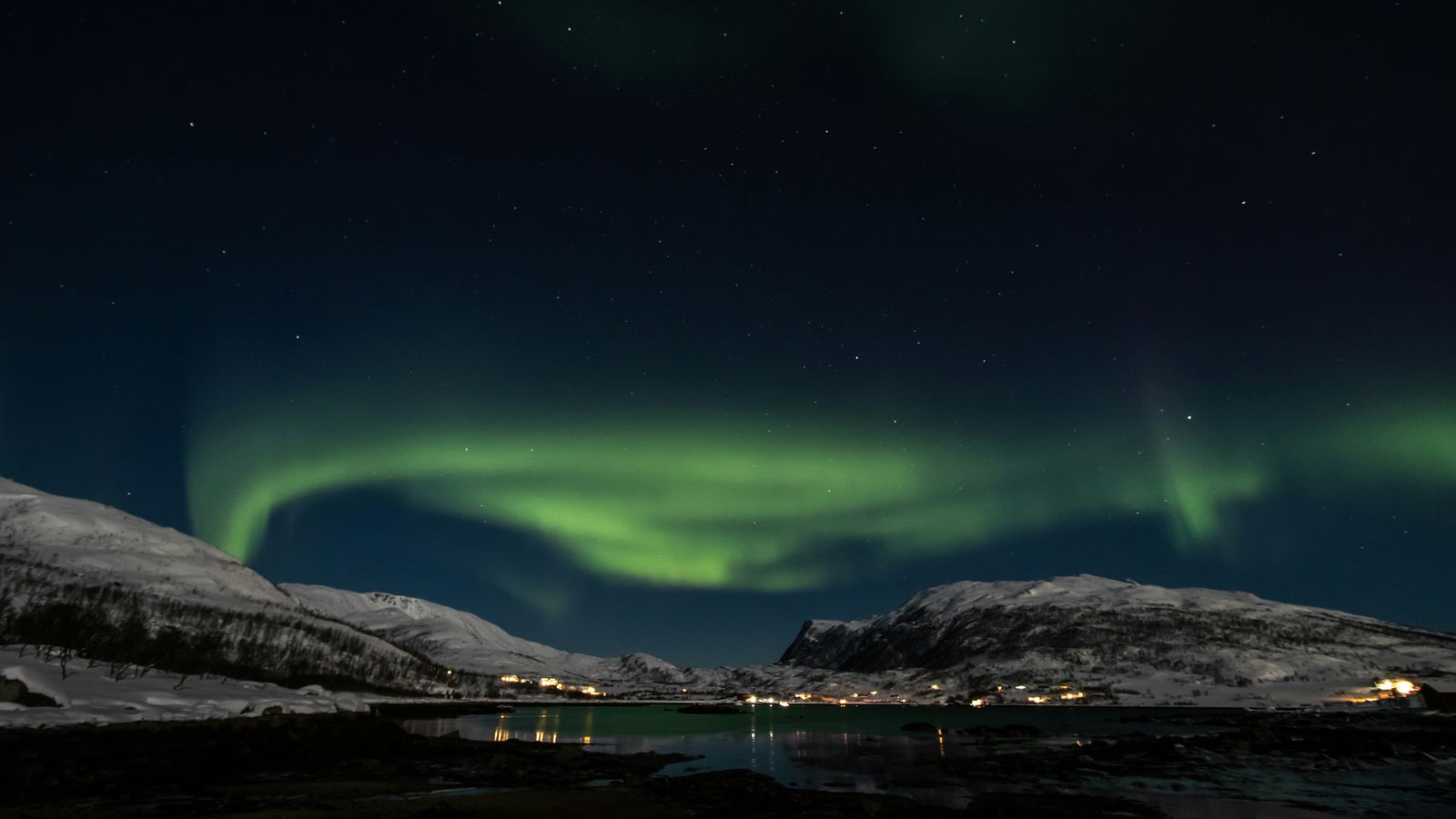 Angela Compagnone on Unsplash