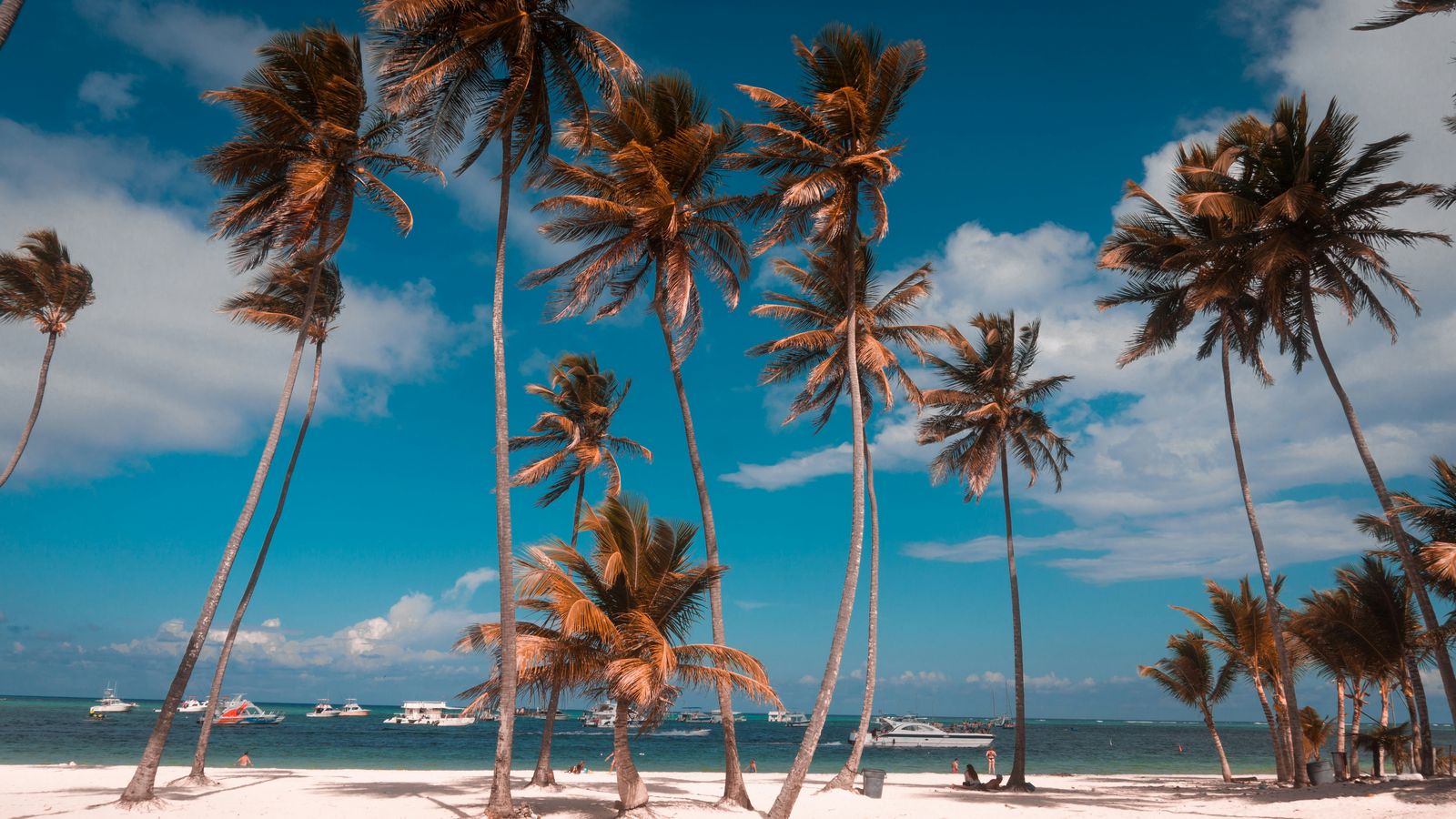 Melisa Popanicic on Unsplash