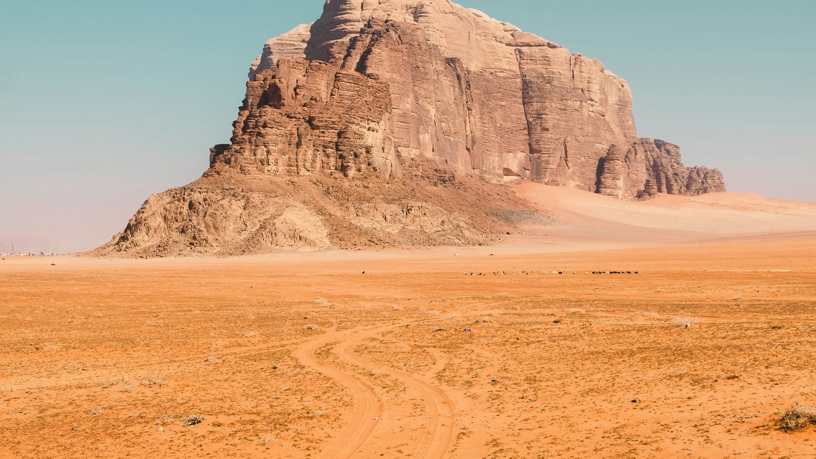 Andrea Leopardi on Unsplash