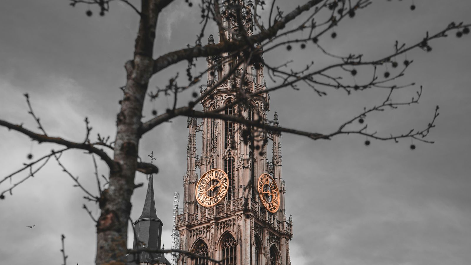 Jonas Jaeken on Unsplash