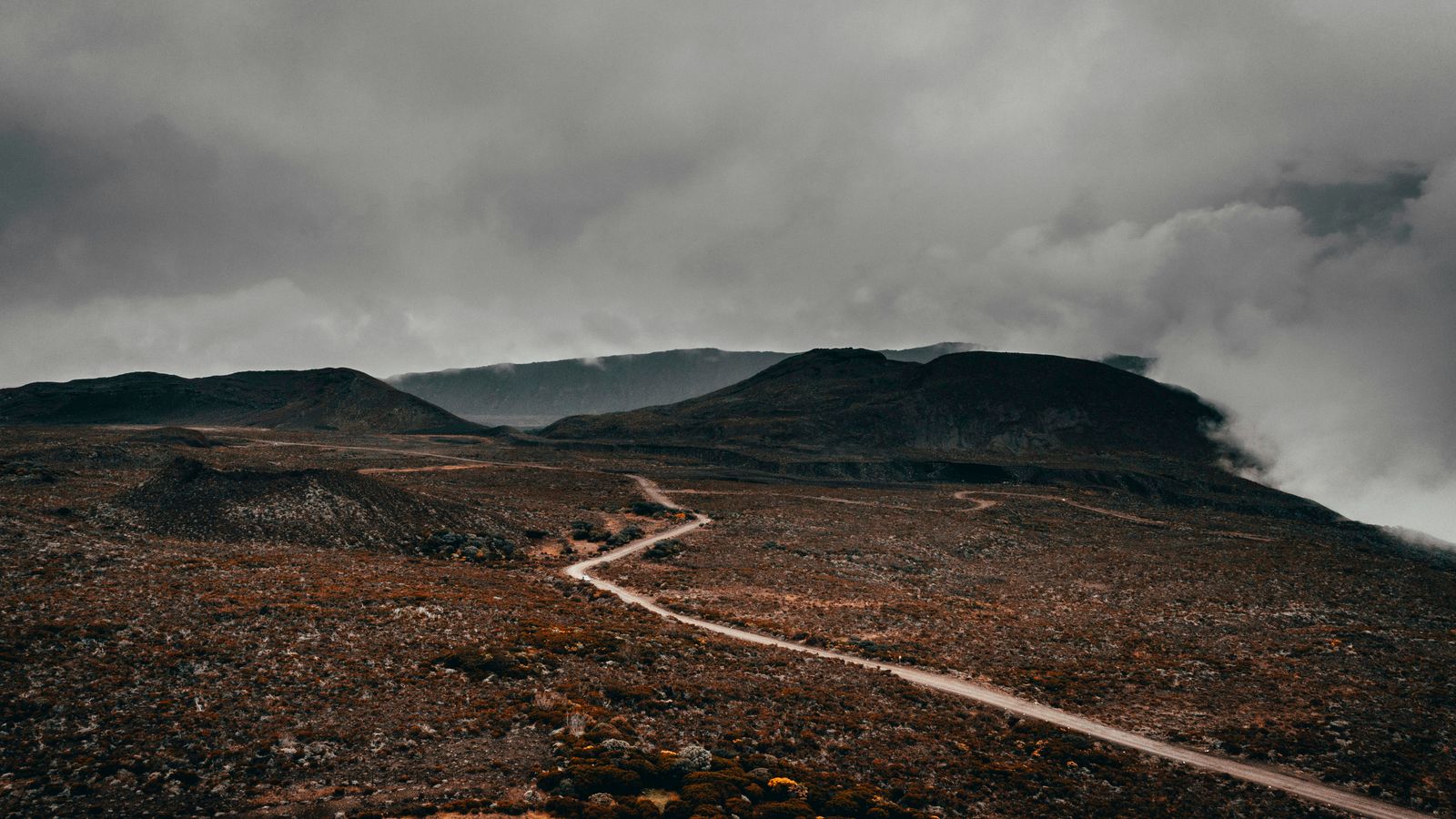 Alexis Antoine on Unsplash