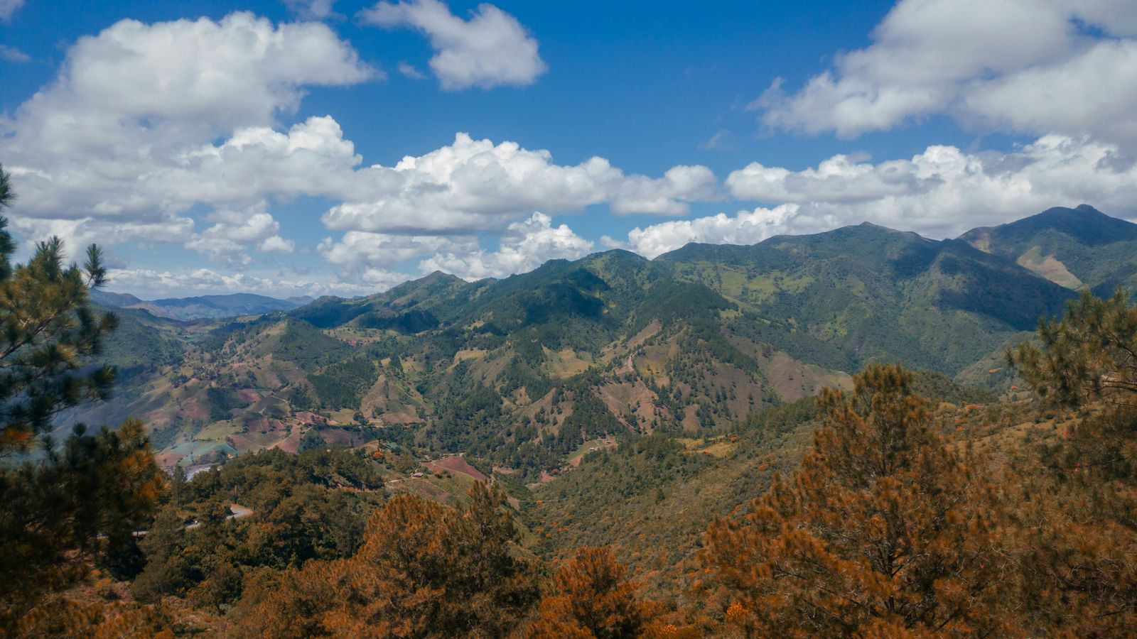 Enmanuel Abreu on Unsplash