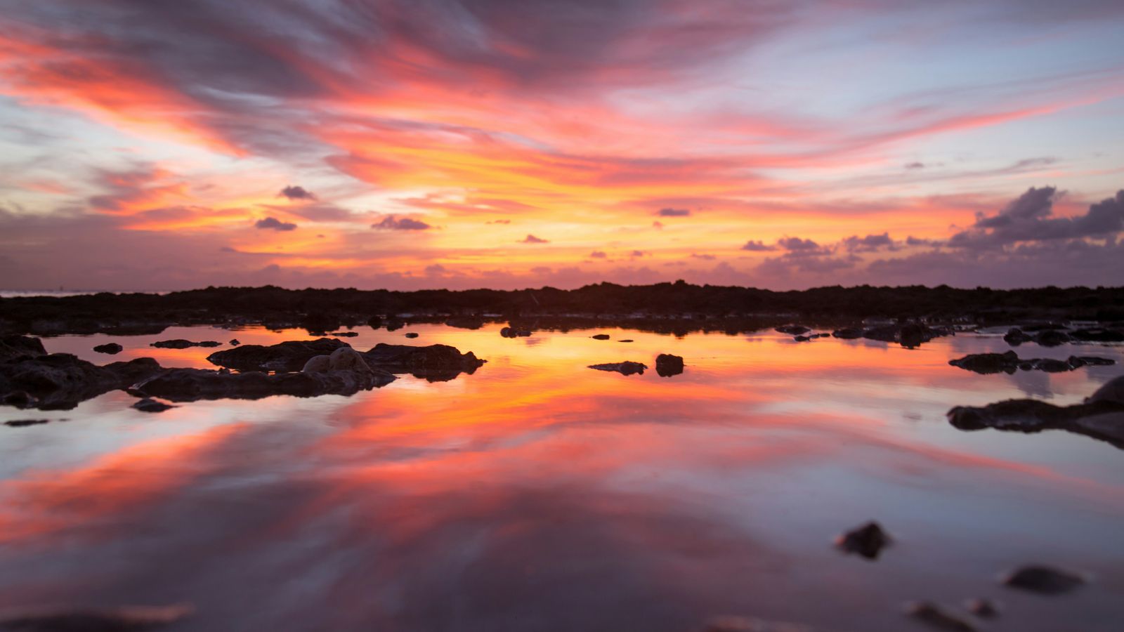 William Duggan on Unsplash