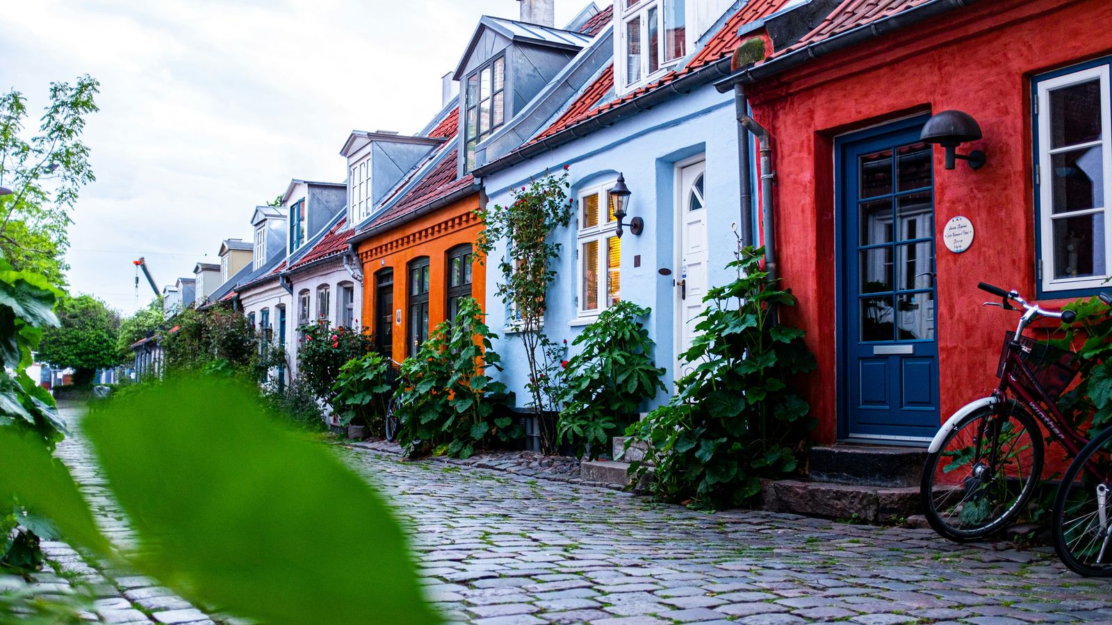 Steffen Muldbjerg on Unsplash