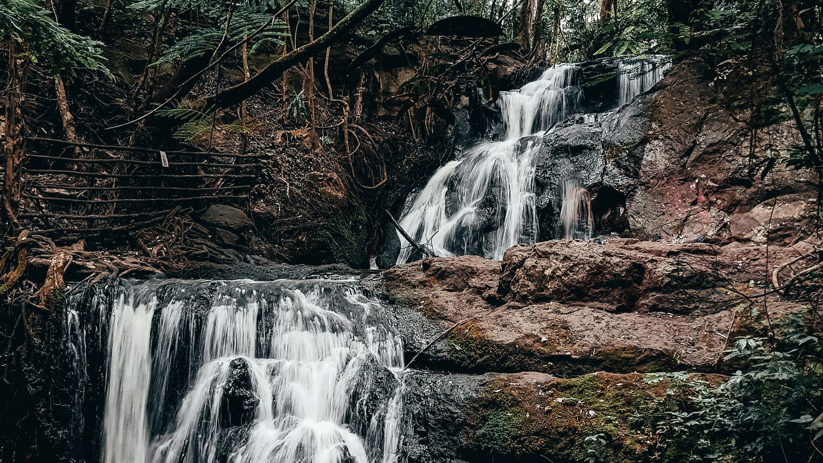 Harshil Gudka on Unsplash