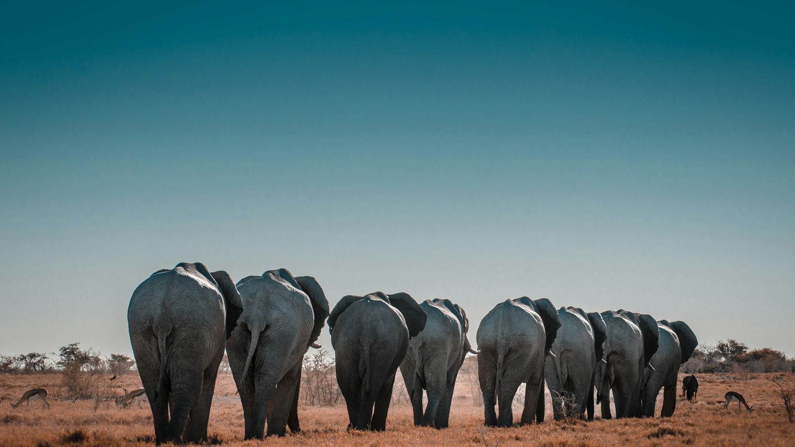 Sergi Ferrete on Unsplash