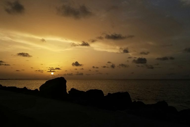 Shell Beach