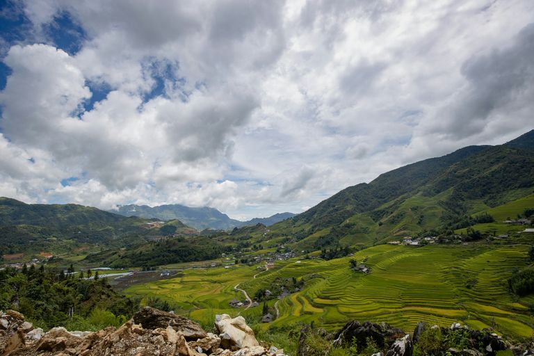 Sapa