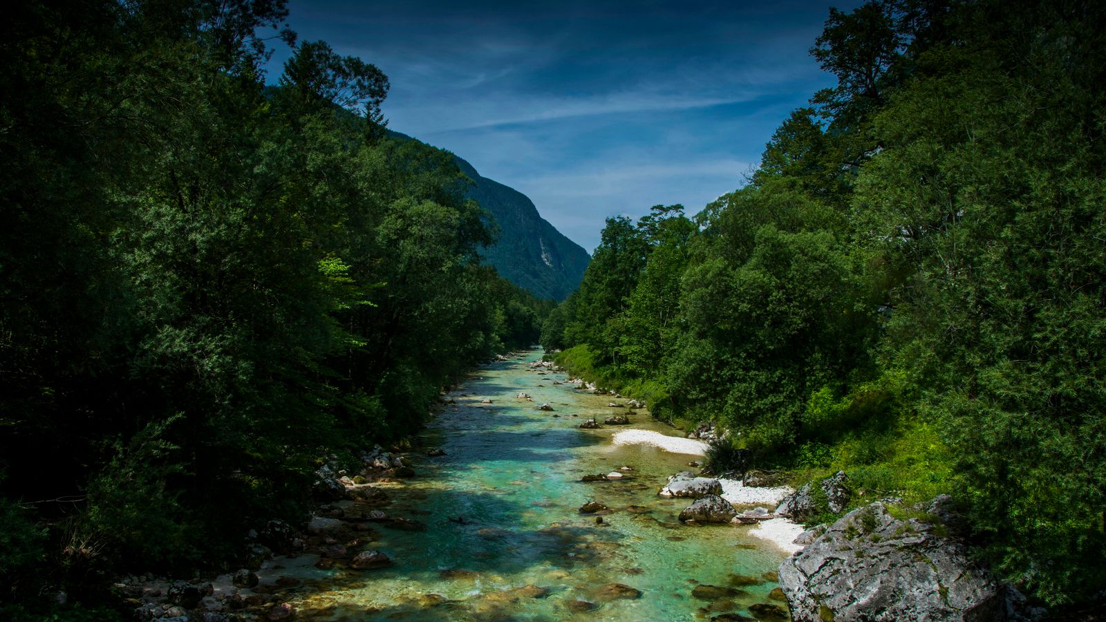 Blaz Erzetic on Unsplash