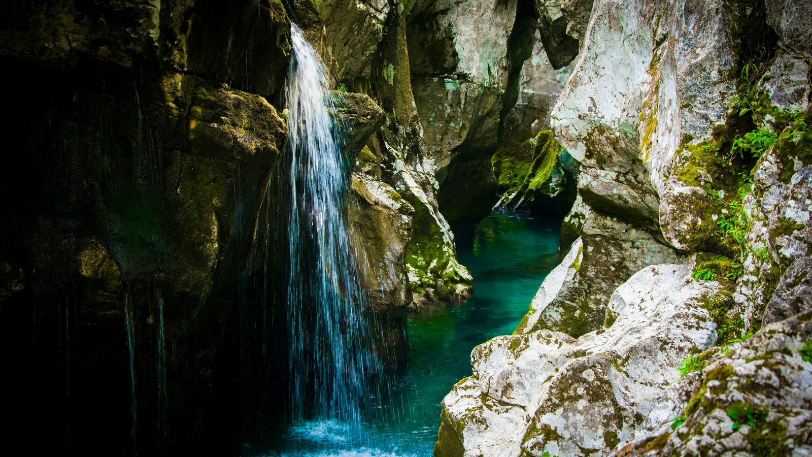 Blaz Erzetic on Unsplash