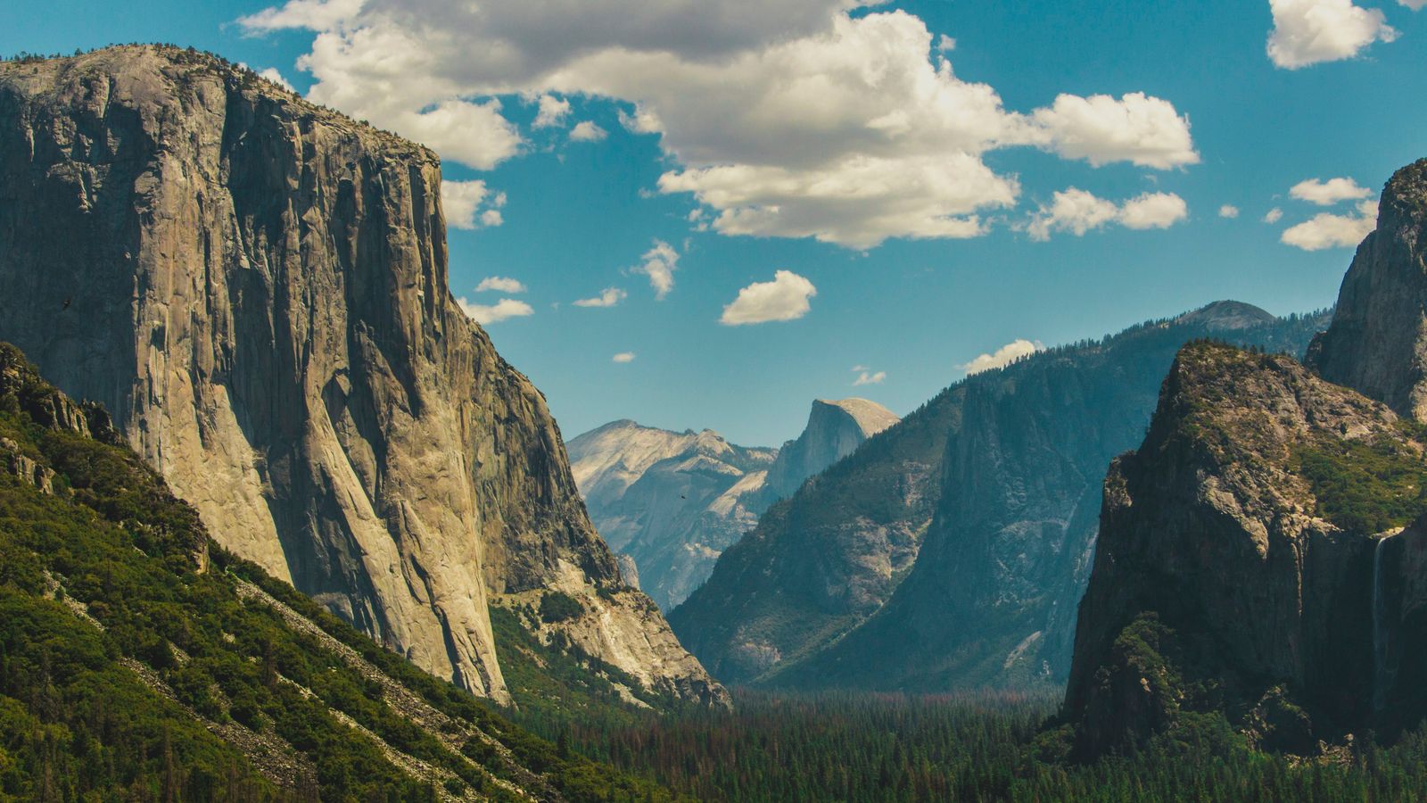 Sam Forrest on Unsplash