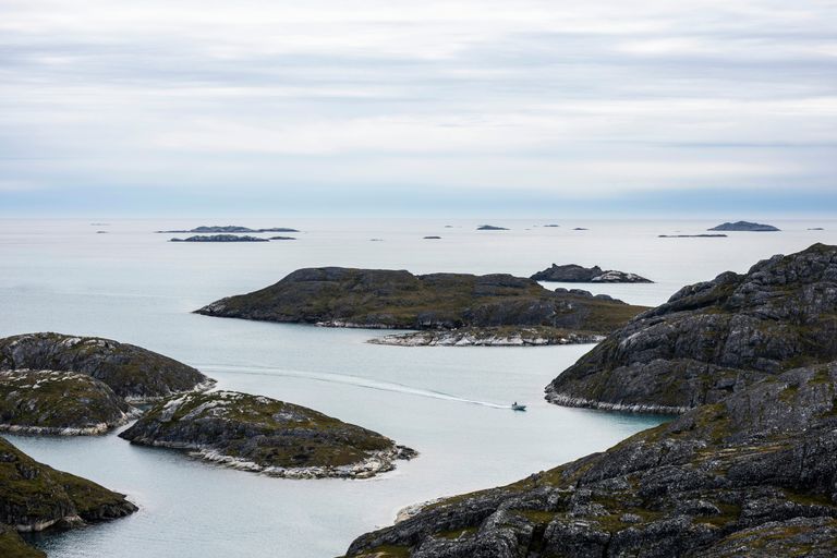 Disko Island (Qeqertarsuaq)