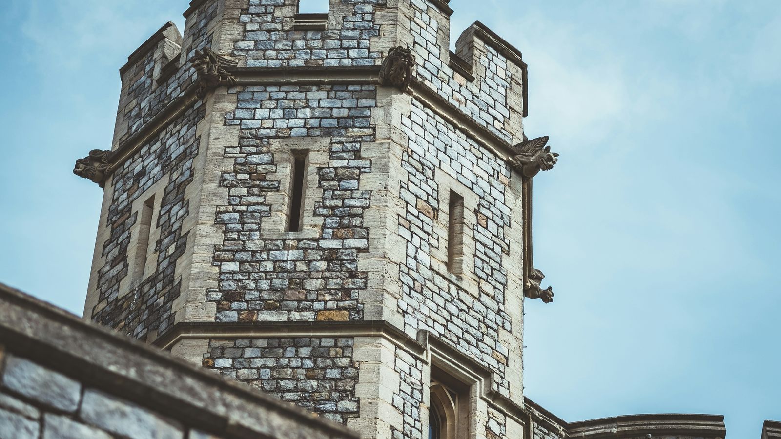 Harry Grout on Unsplash