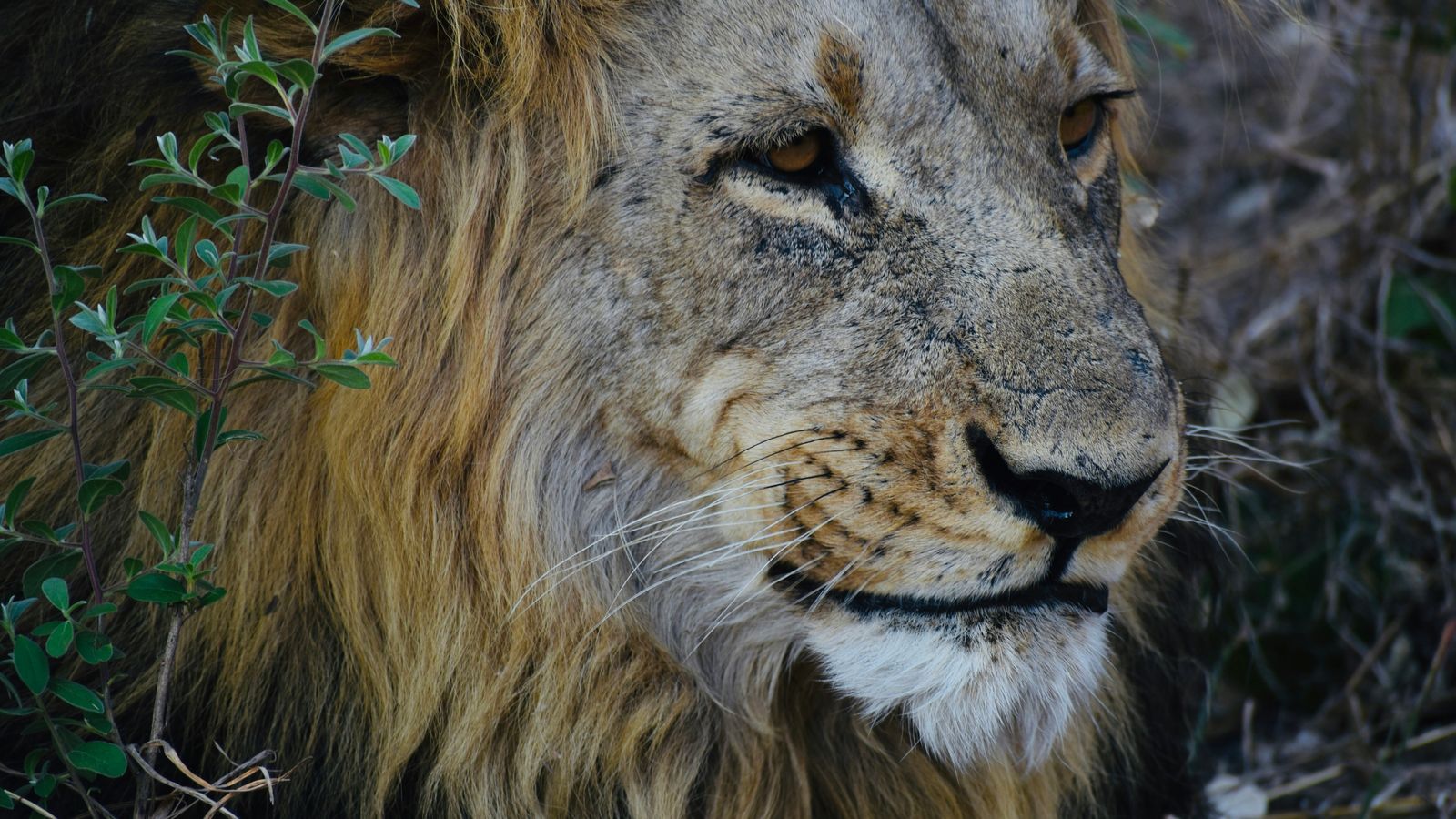 Jose Mizrahi on Unsplash