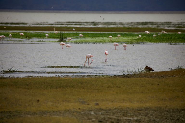Pans de Makgadikgadi