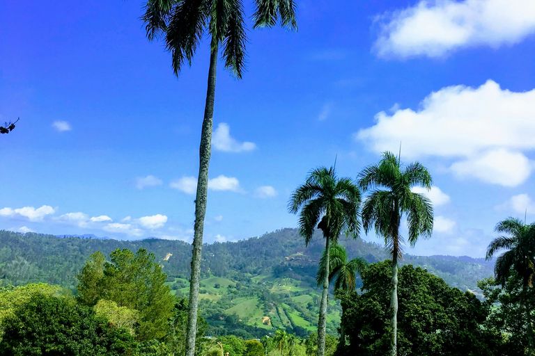 Jarabacoa