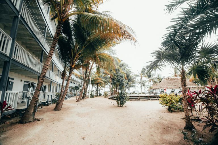 Placencia