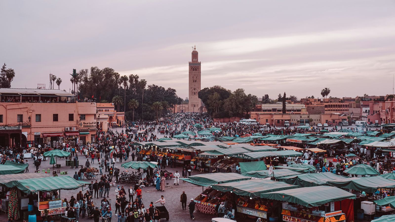 Beatrice Sana on Unsplash