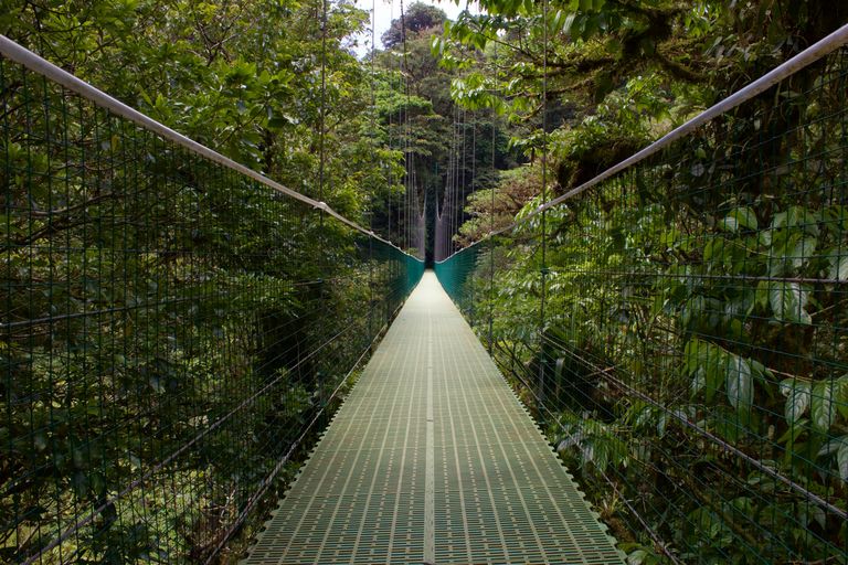 Monteverde
