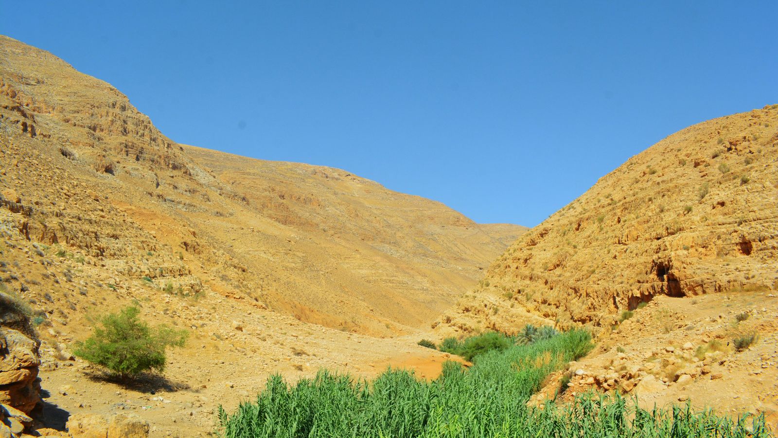 nour tayeh on Unsplash