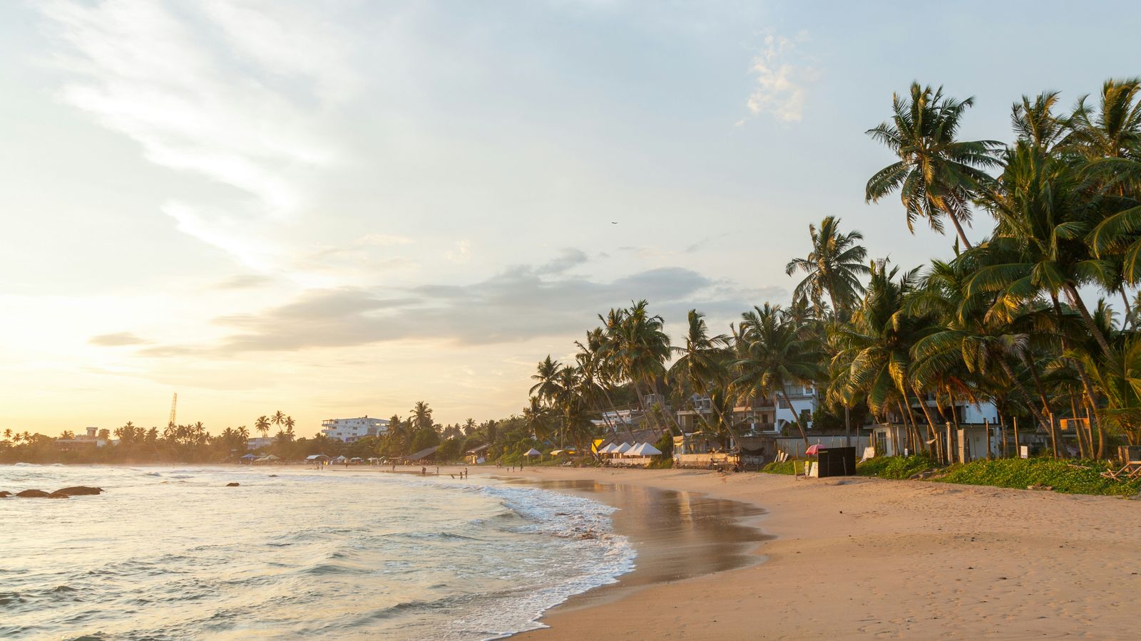 Rowan Heuvel on Unsplash