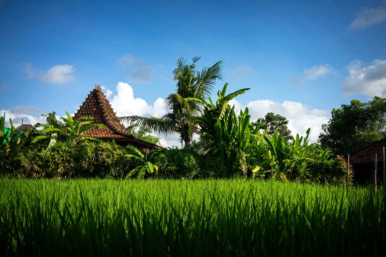 Ubud