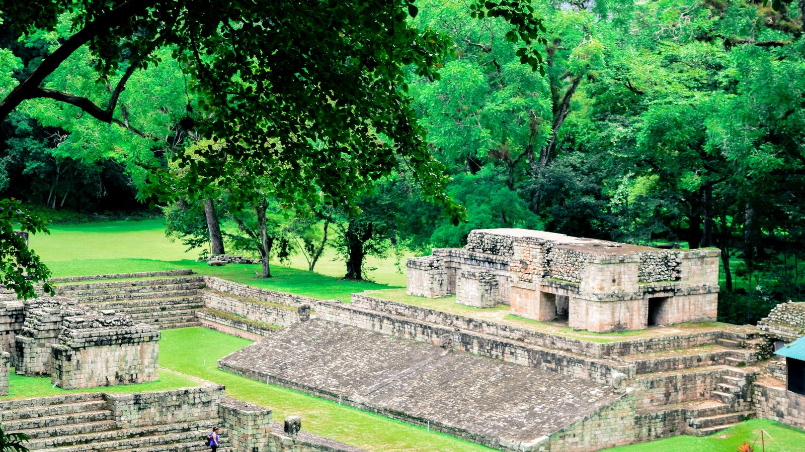 D-Fotografia Honduras on Unsplash
