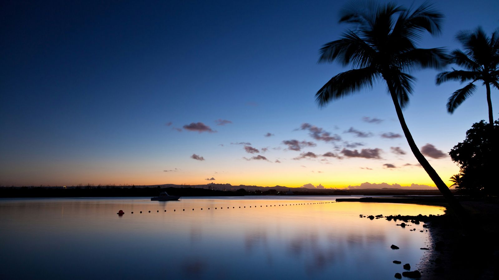 Collin Croome on Unsplash