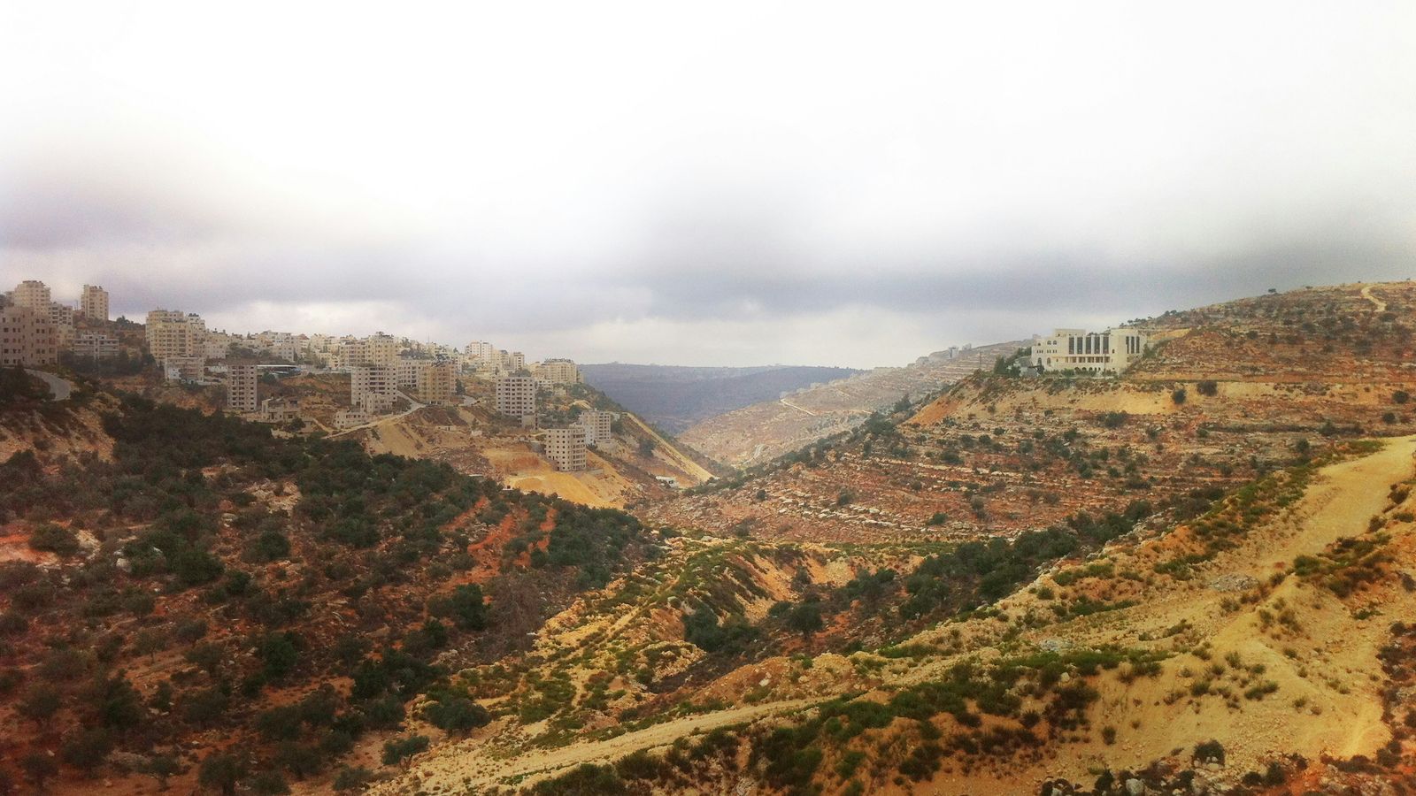 nour tayeh on Unsplash