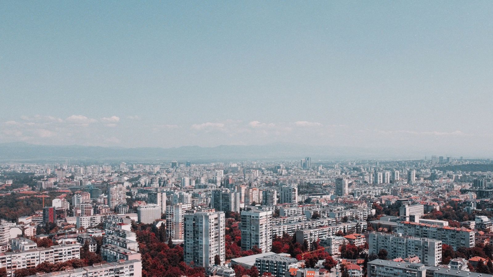 Stefan Popov on Unsplash