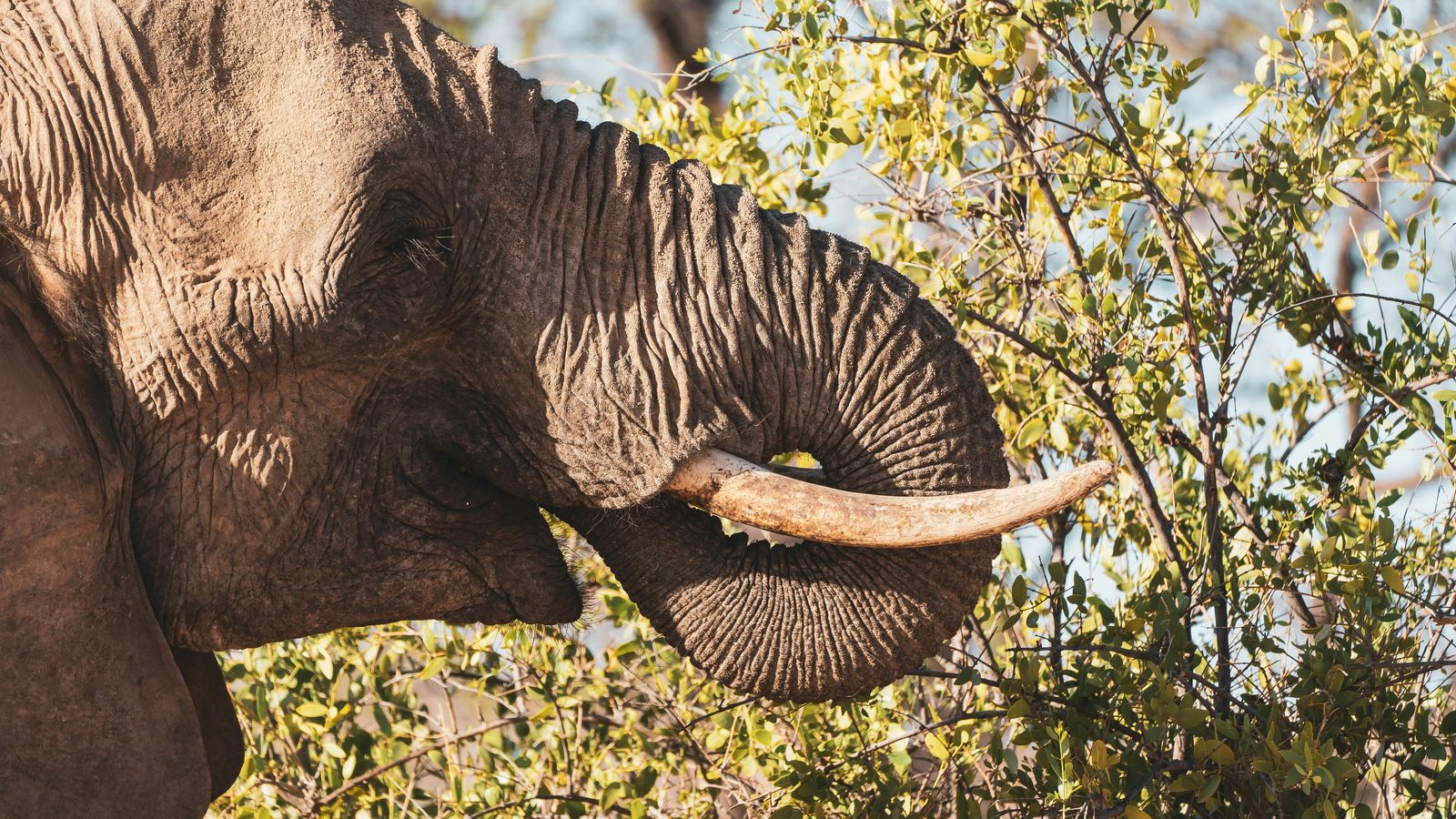 Eelco Böhtlingk on Unsplash