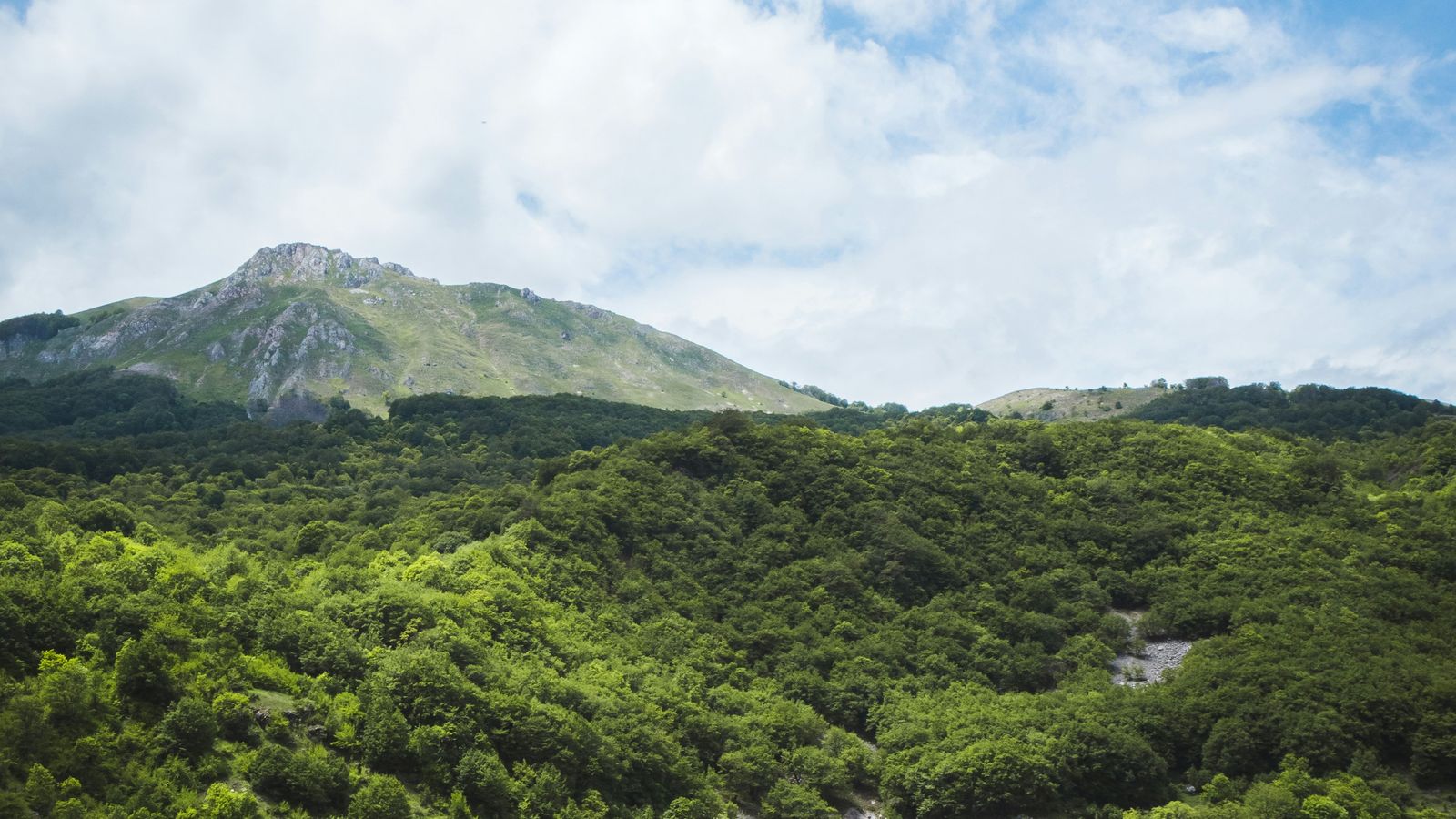 Kristijan Arsov on Unsplash