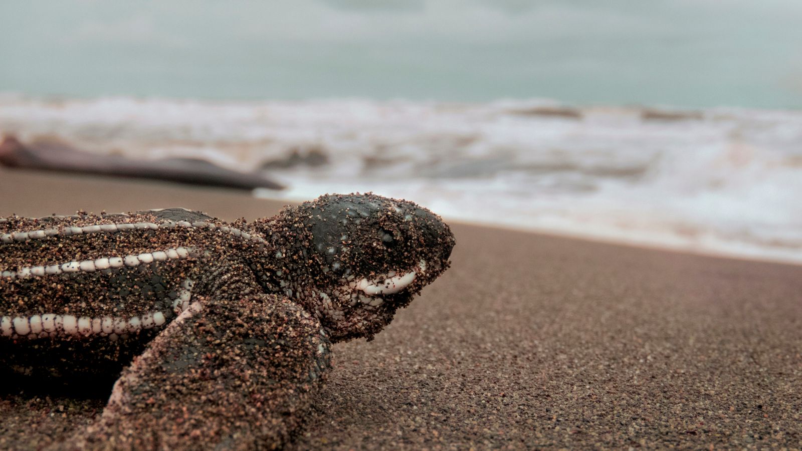 Max Gotts on Unsplash