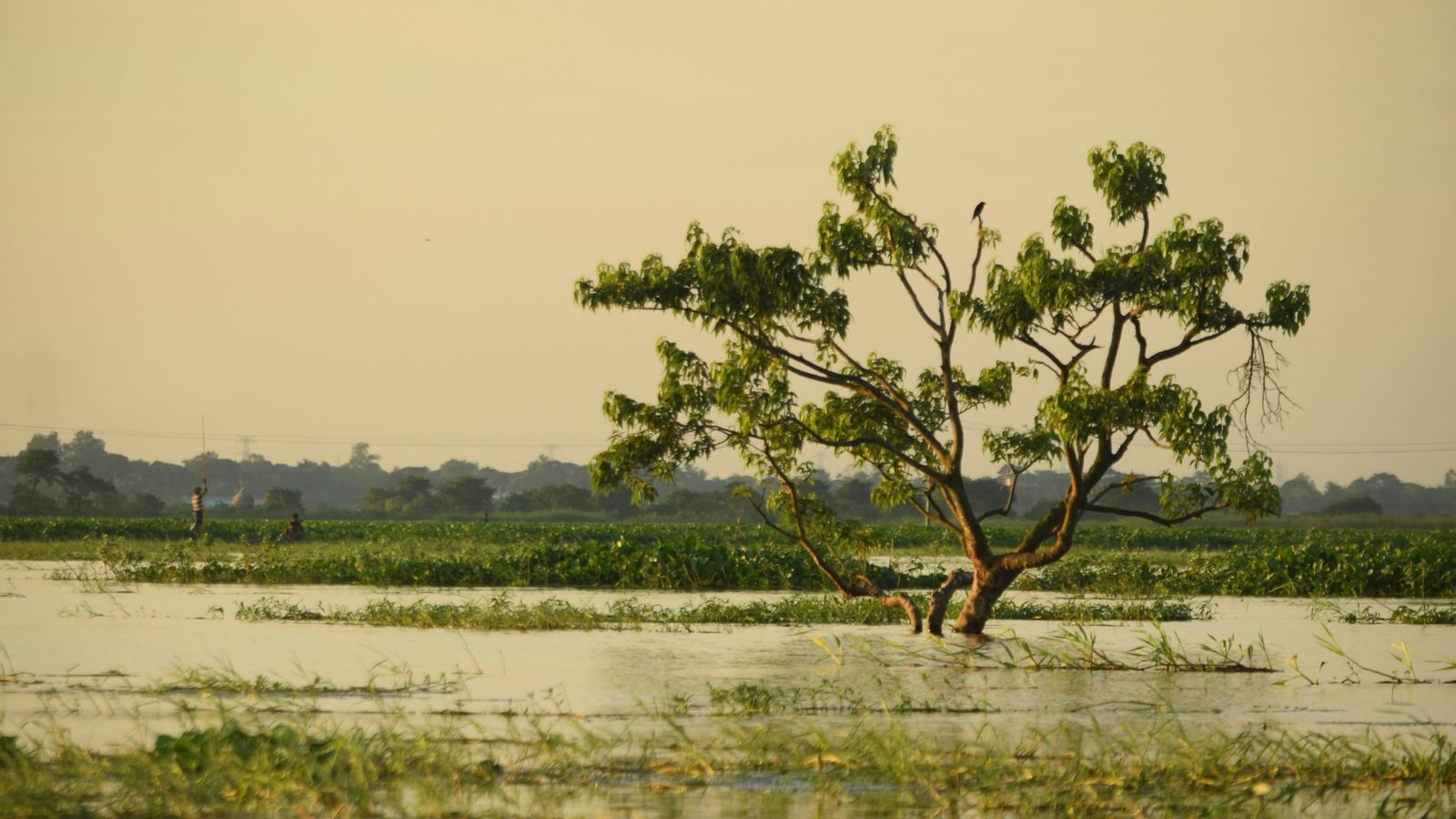 Ashraful Haque Akash on Unsplash
