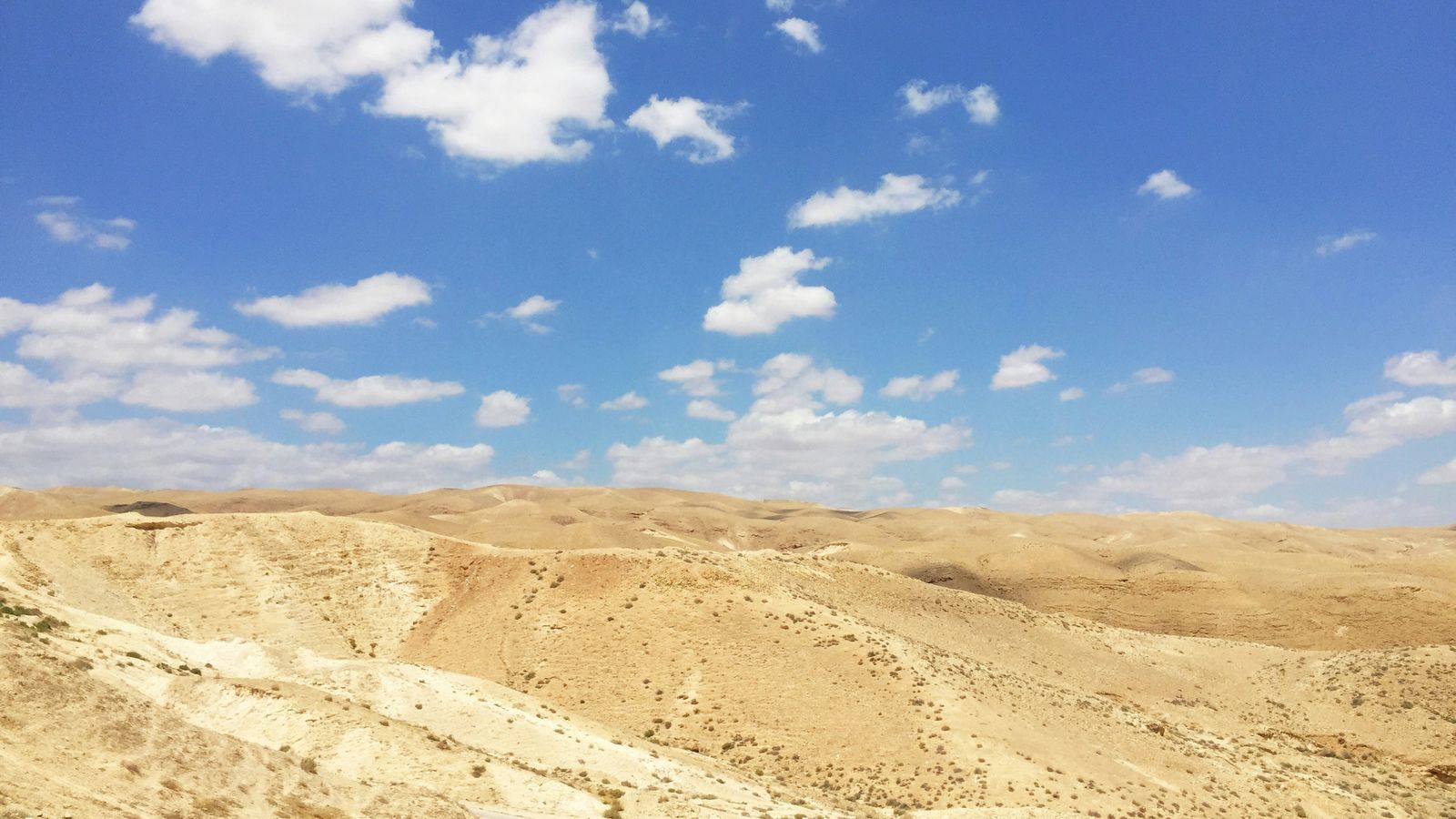nour tayeh on Unsplash