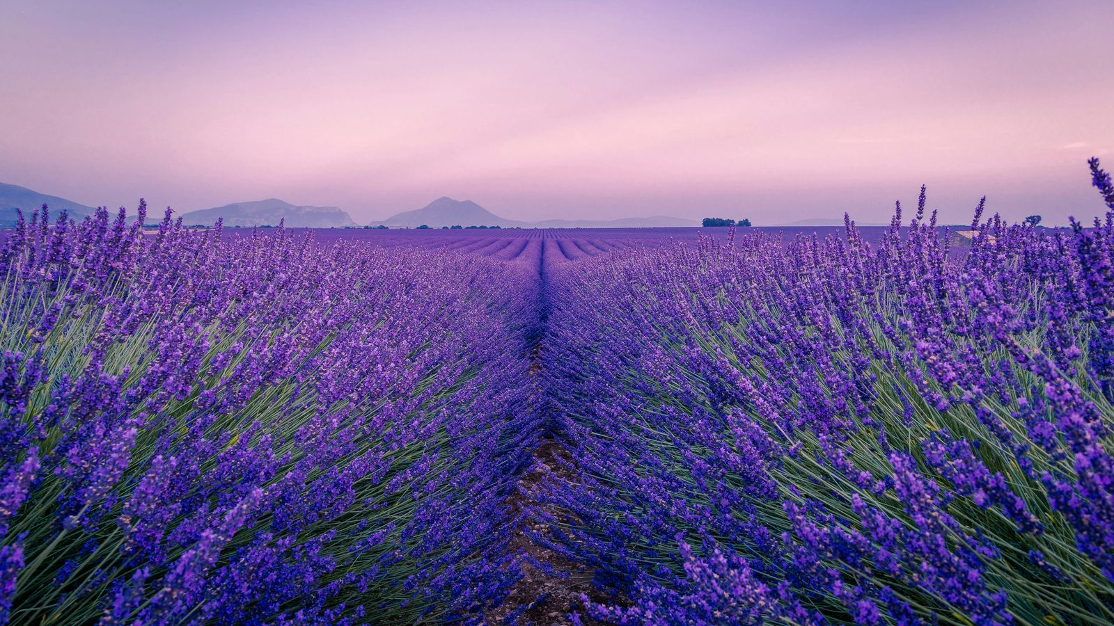 Antony BEC on Unsplash