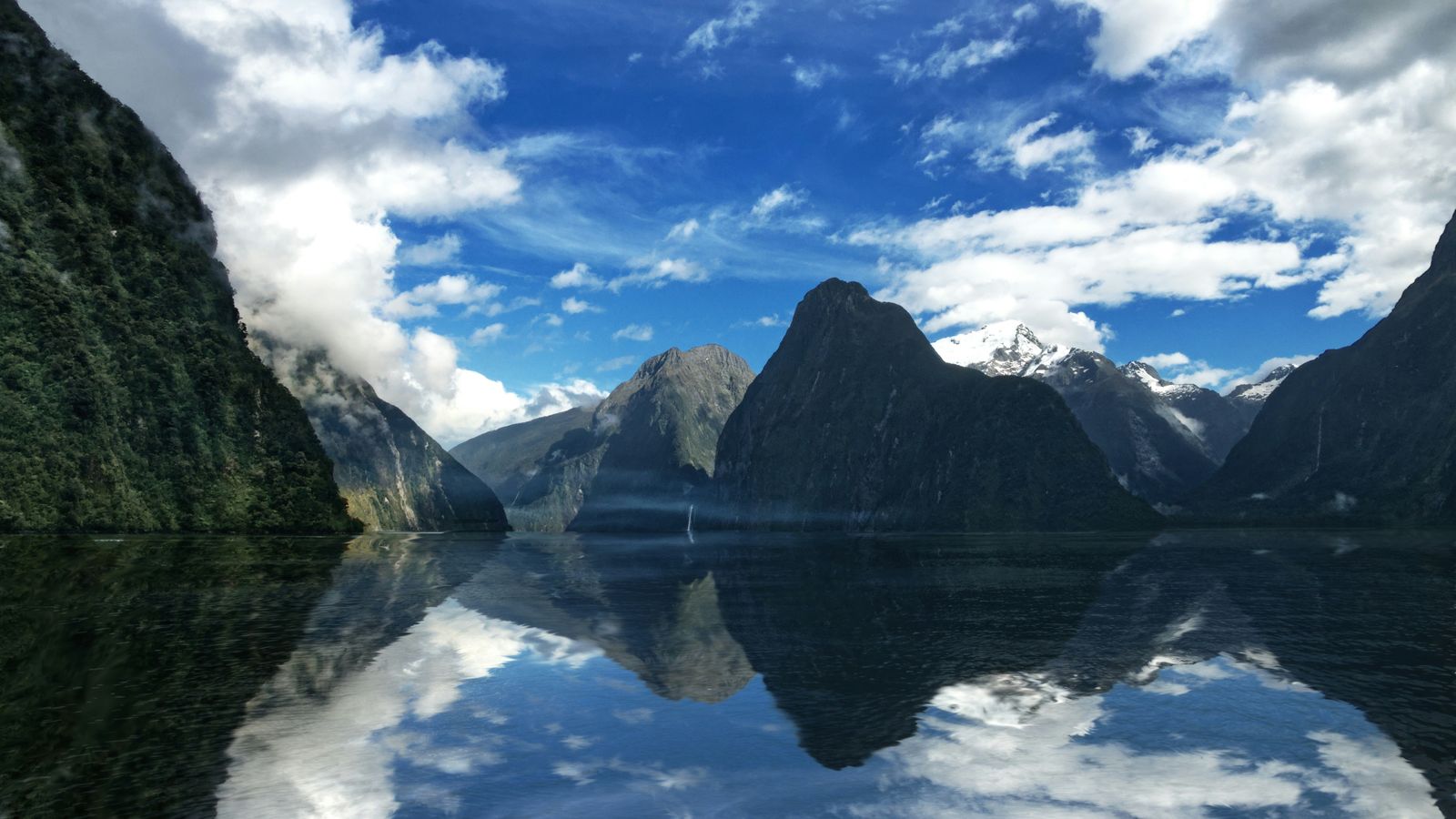 Niklas Ohlrogge on Unsplash