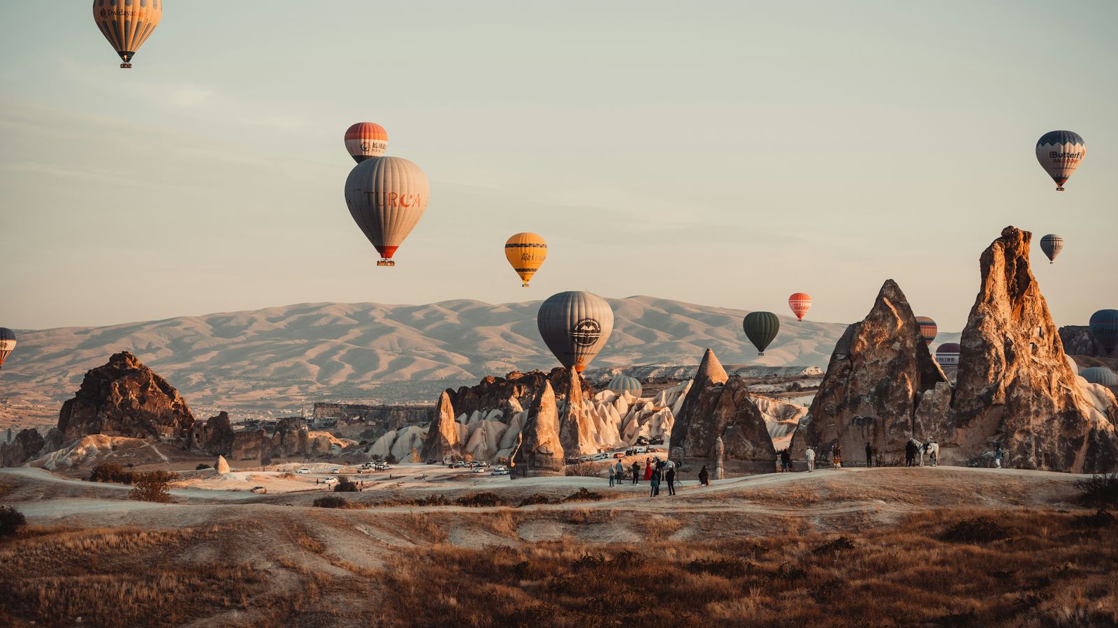 Timur Garifov on Unsplash